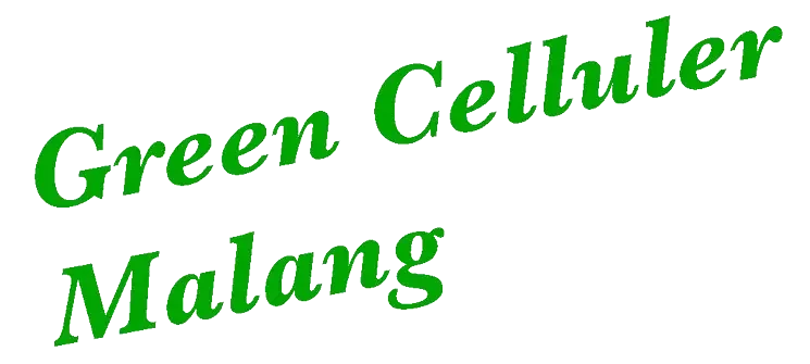 GREEN CELLULER MALANG